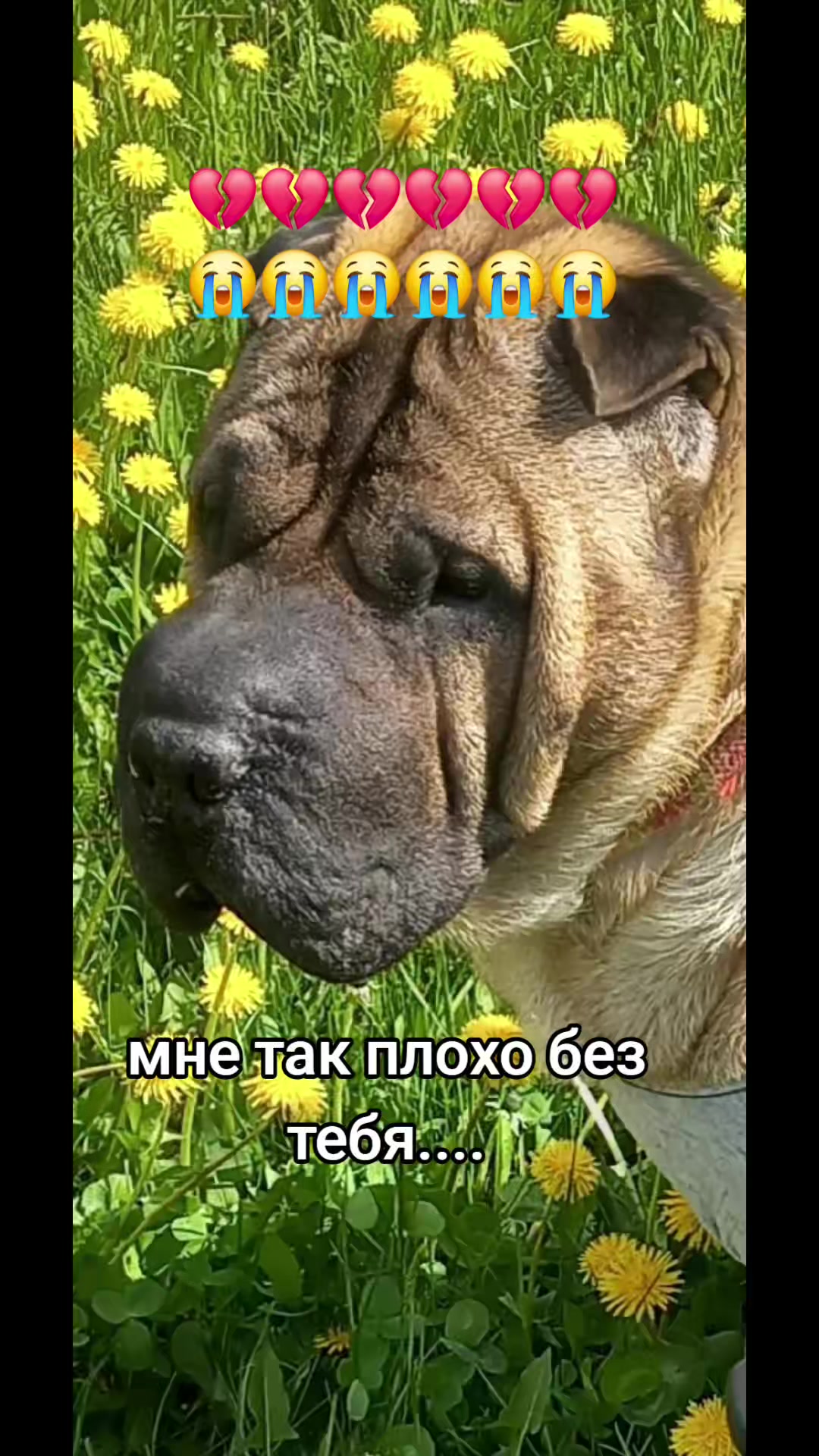 @Виталия (Віталія)❤️