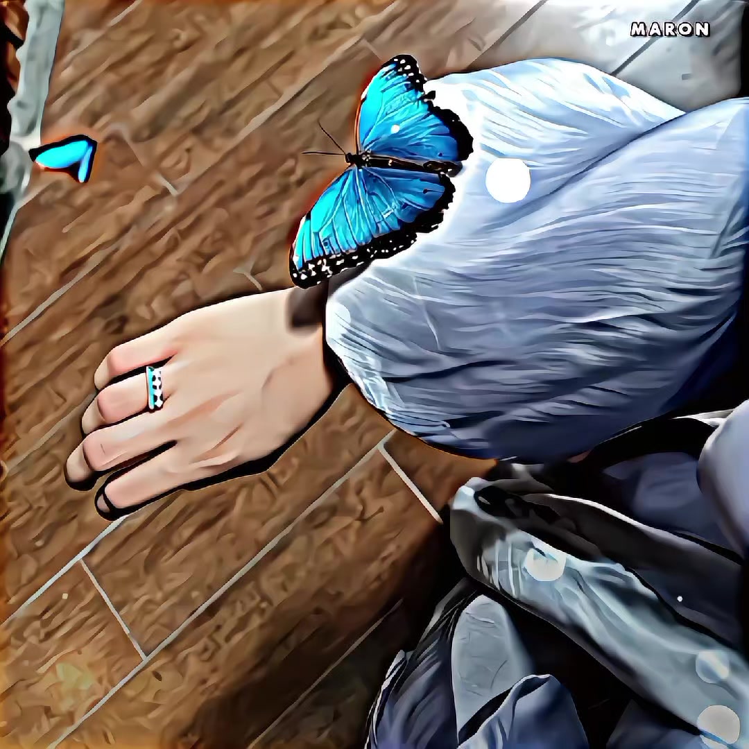 @แฏแกฃ๐ญฉ๐๐แ๐๐/๐ป๐ท
