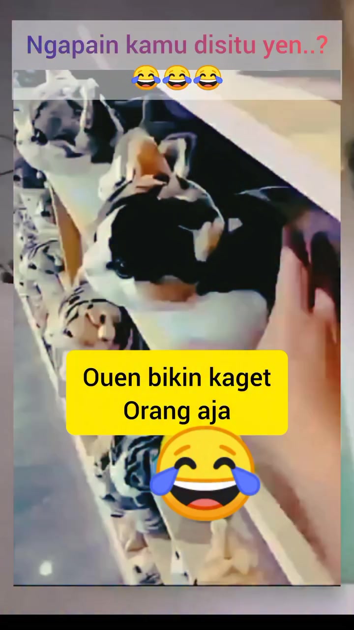 @dwikaputramahardika