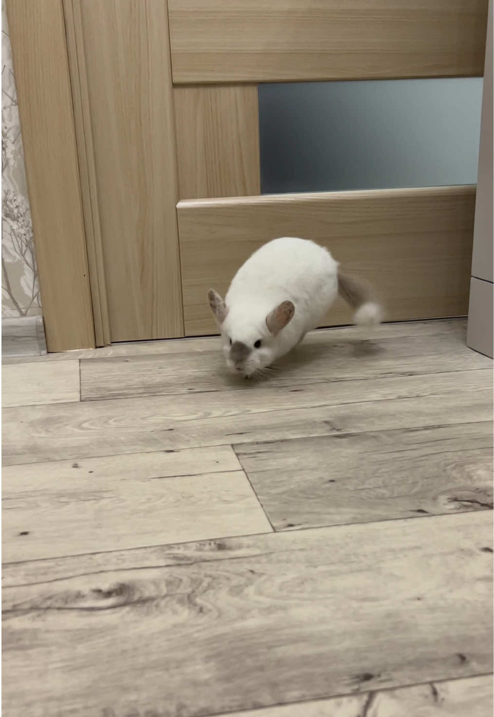 @Лулу