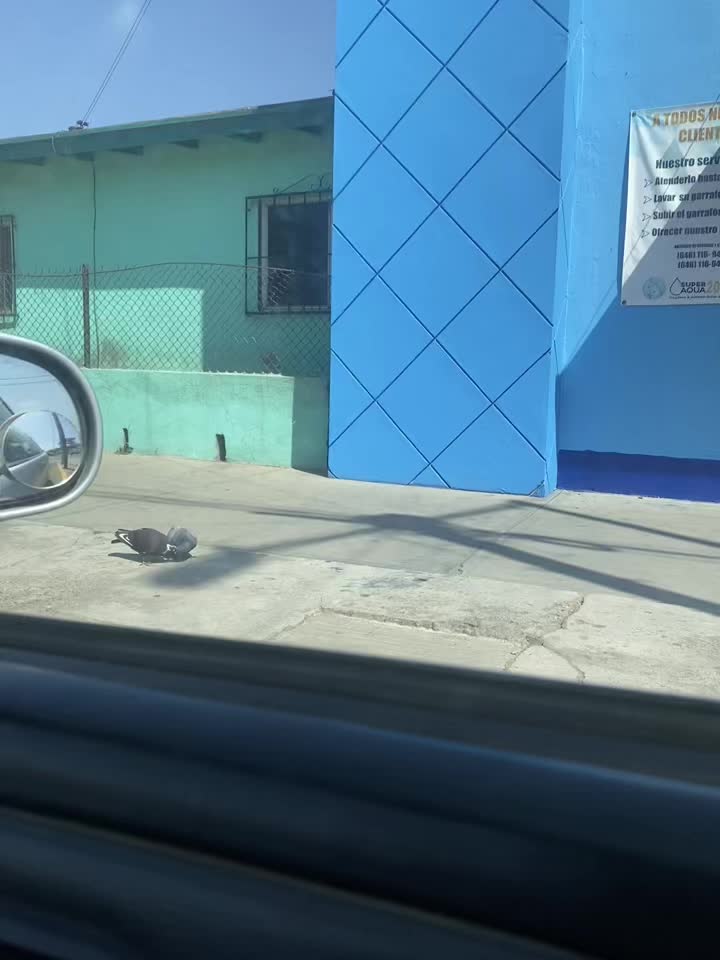 @Diana Longoria