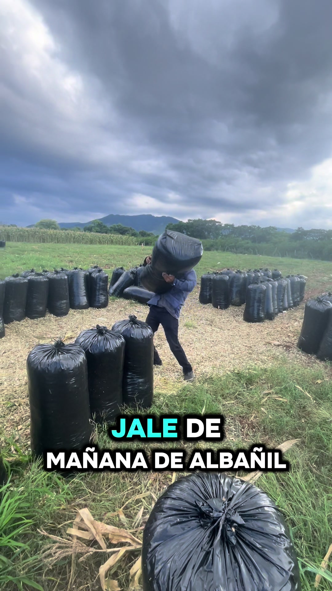 @Junior 502🇬🇹