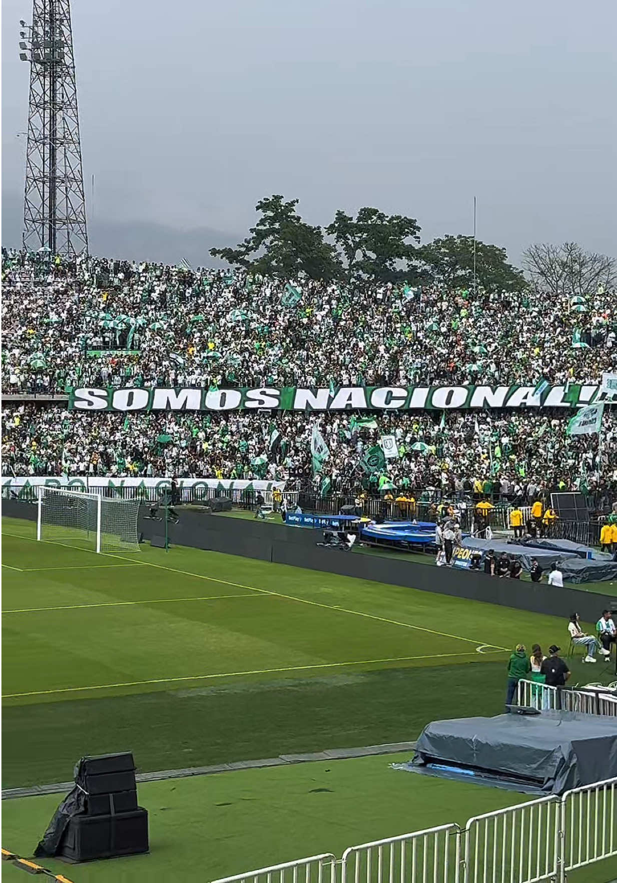 @NOTICIAS DEL VERDE