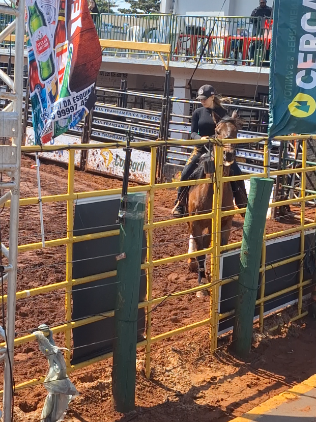 @rodeo