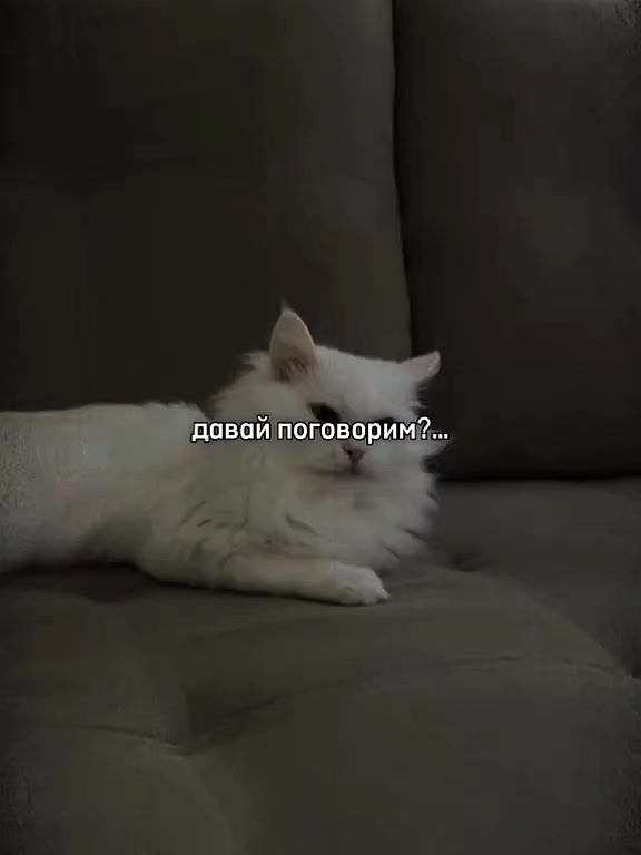 @Анастасия
