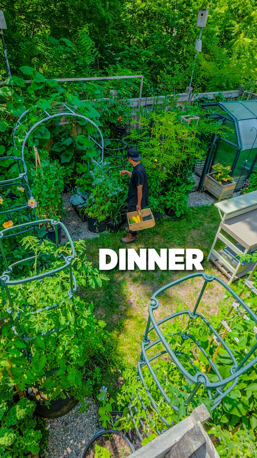 @Planted in the Garden