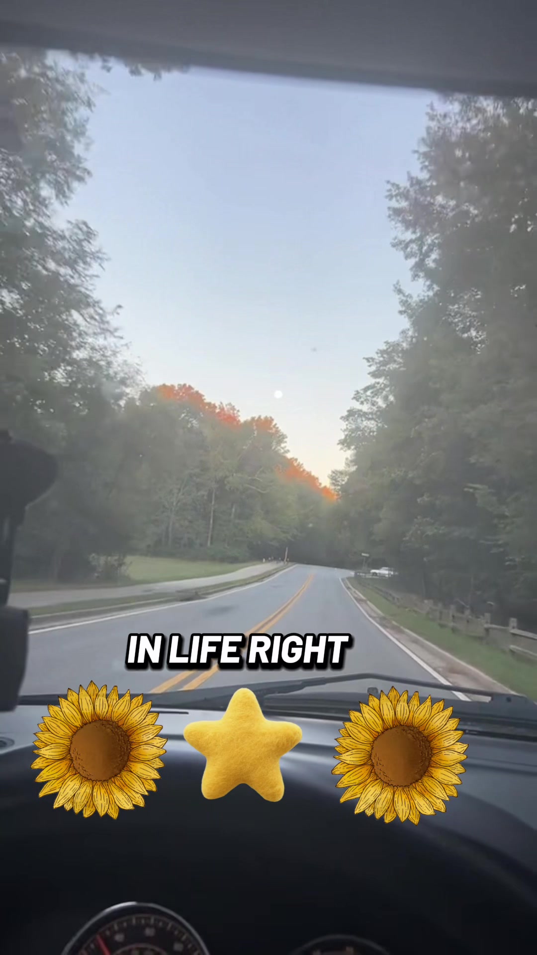 @Positive light 🇩🇴🧕