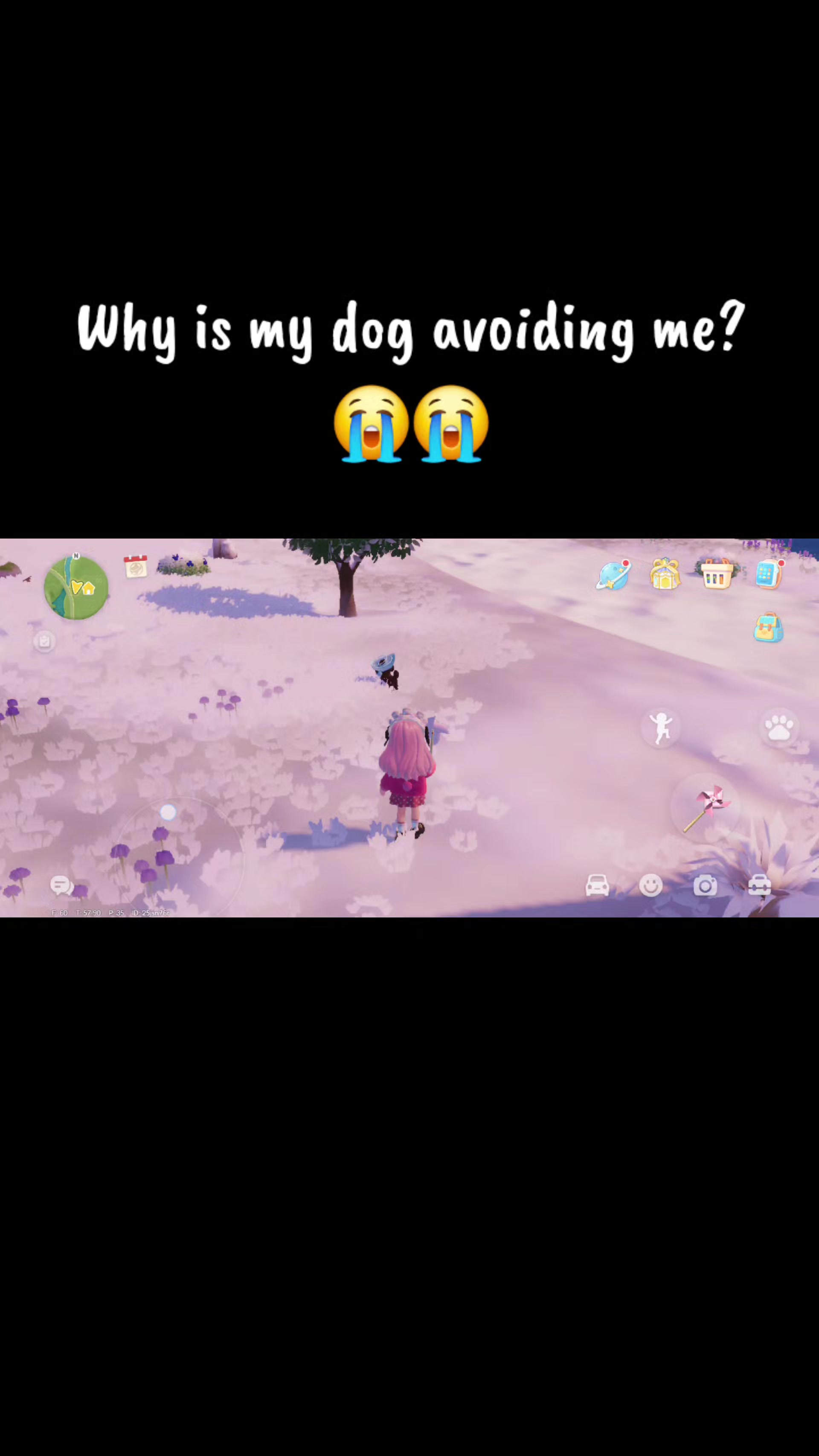 @chiaseadz