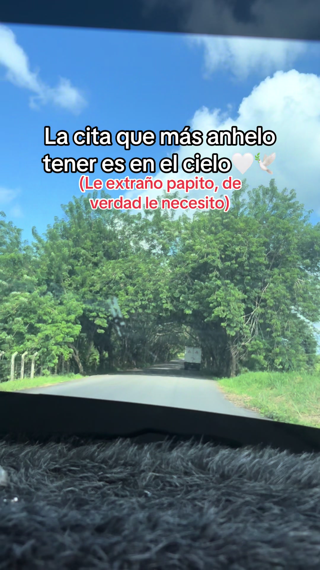 @Rocío Margarita 🐻