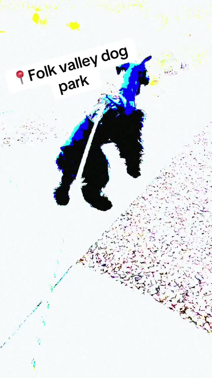 @Cookdook