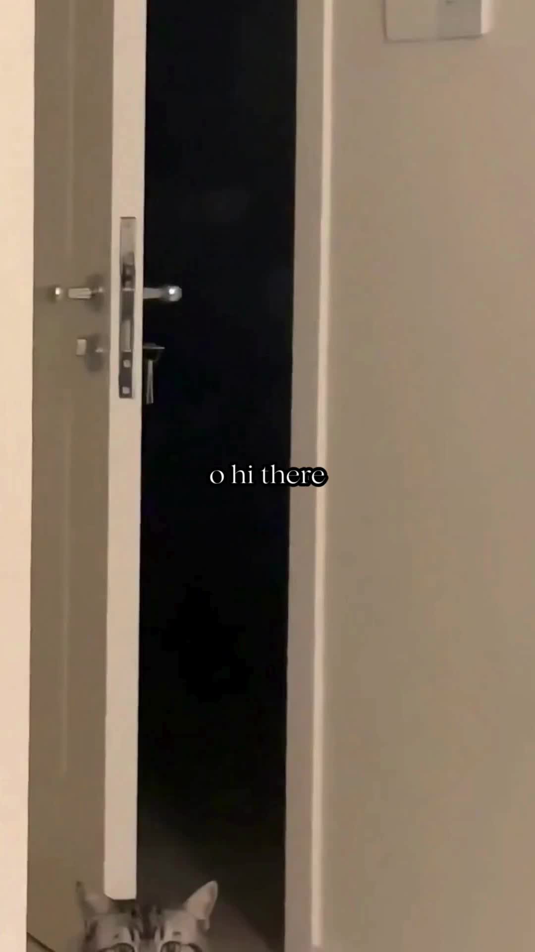 @BabaBear