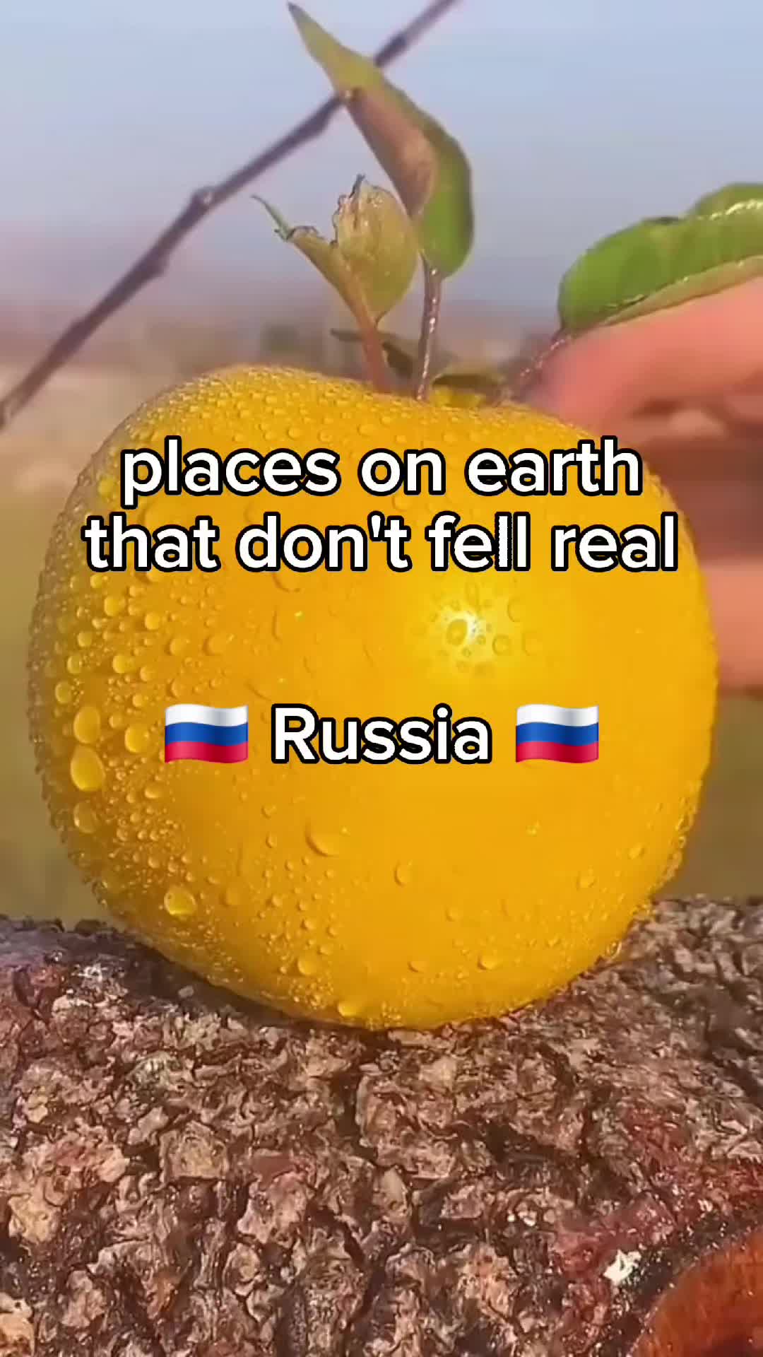 @AlexPaton