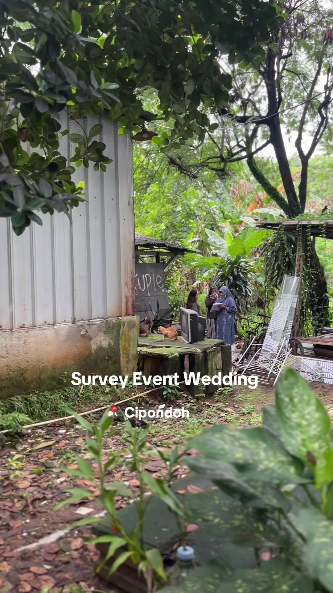 @Mega Wedding Organizer