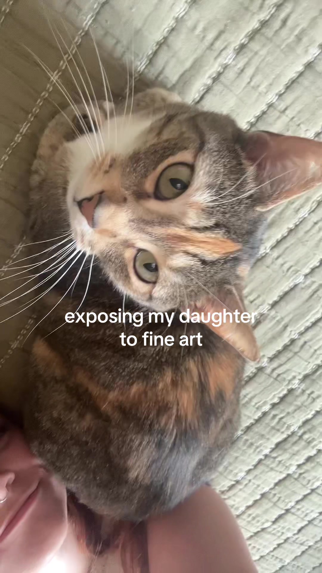 @𝐆racie 𝐆irl