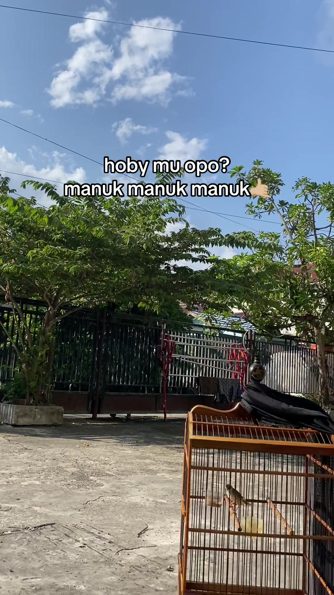@KING_PEN⛓️💥
