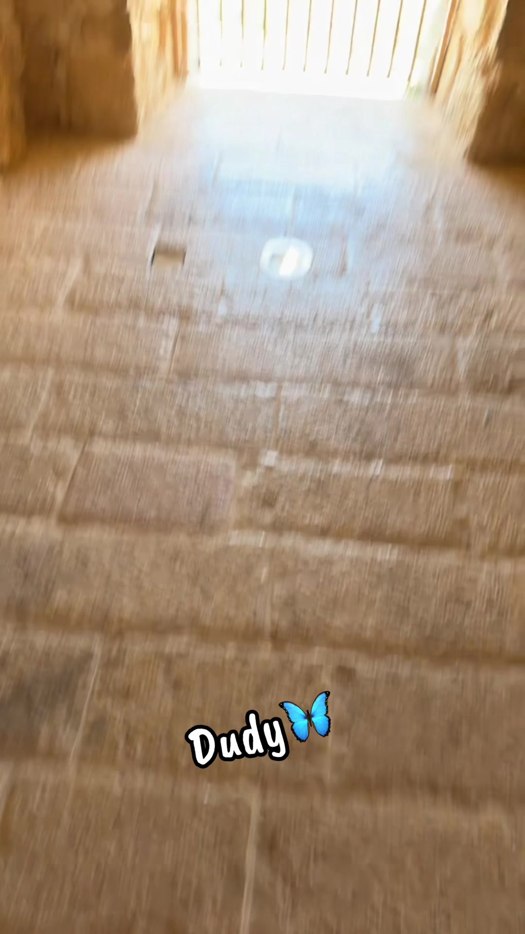 @DUDY_Z