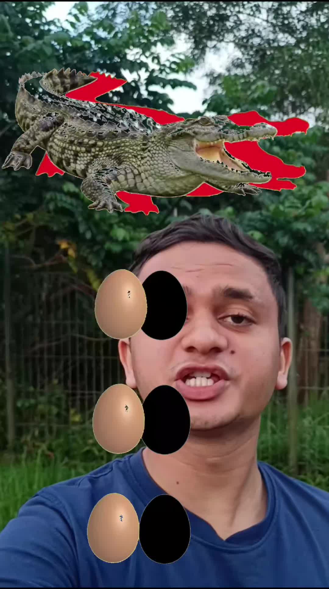 @Challenge Puzzle video