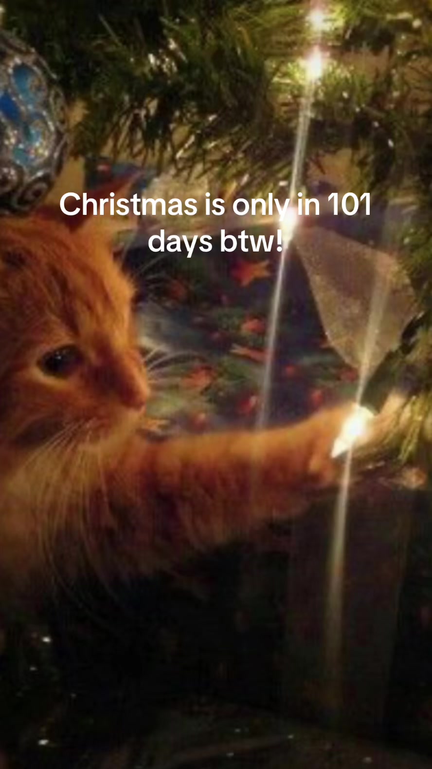 @christmas vibes!