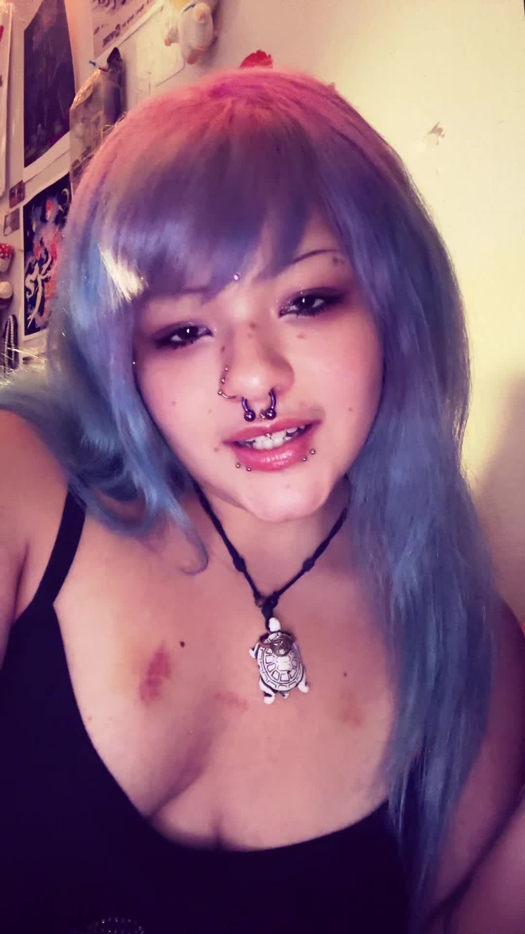 @🐈🪶