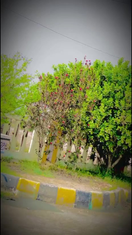 @🐦&zwj;🔥(khan♑نعمان)🐦&zwj;🔥