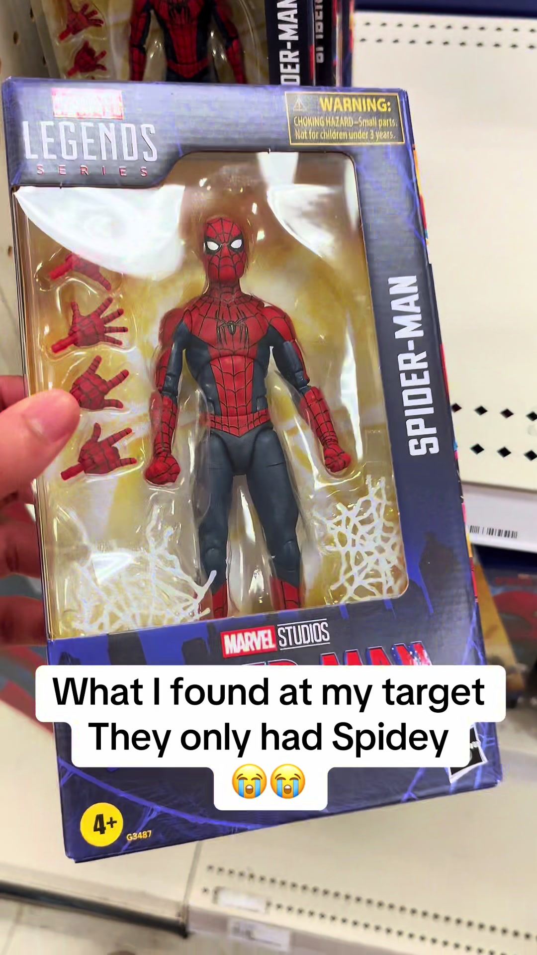 @The Amazing Web-Head