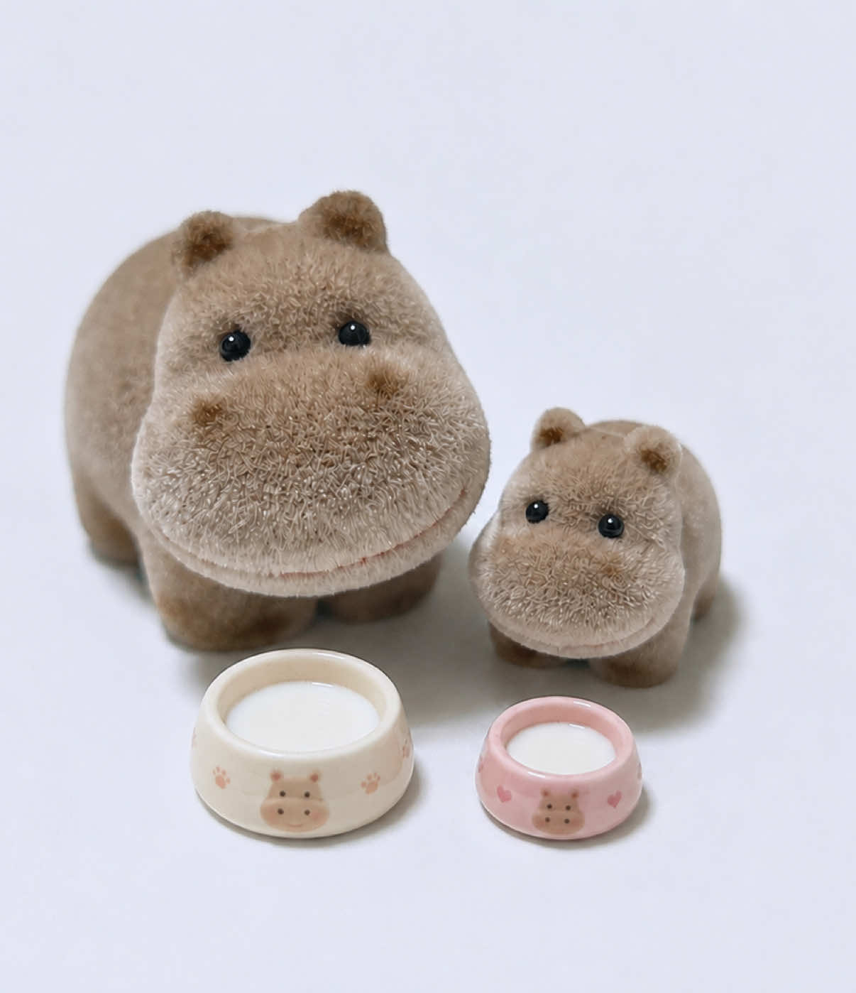 @Baby Hippo