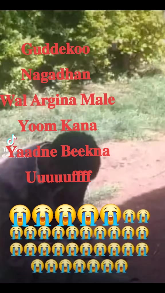 @GECHO🫆🇪🇦🇨🇦🇧🇷🇦🇪🇪🇹🫆