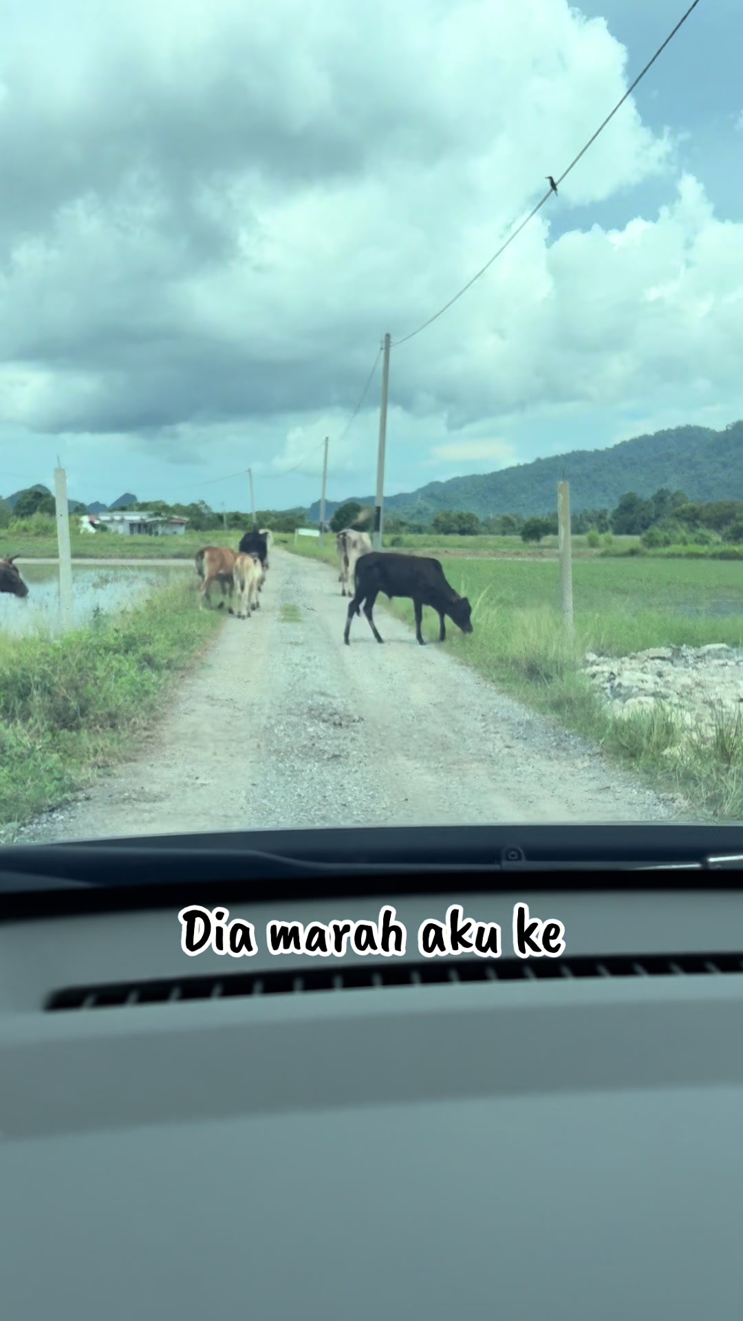 @Faizal Jacko