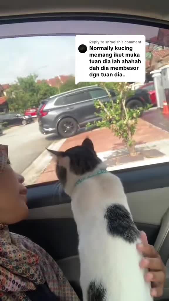 @Cik Mai Shop
