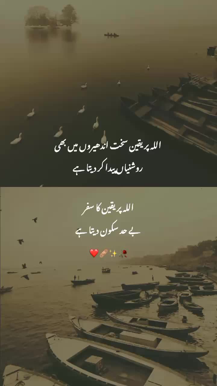 @angel_pari420
