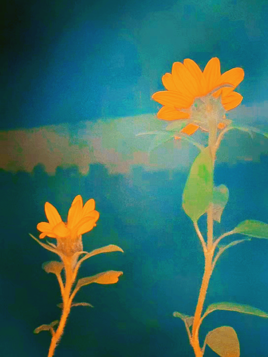 @𖤐 natturealie~ 🪶