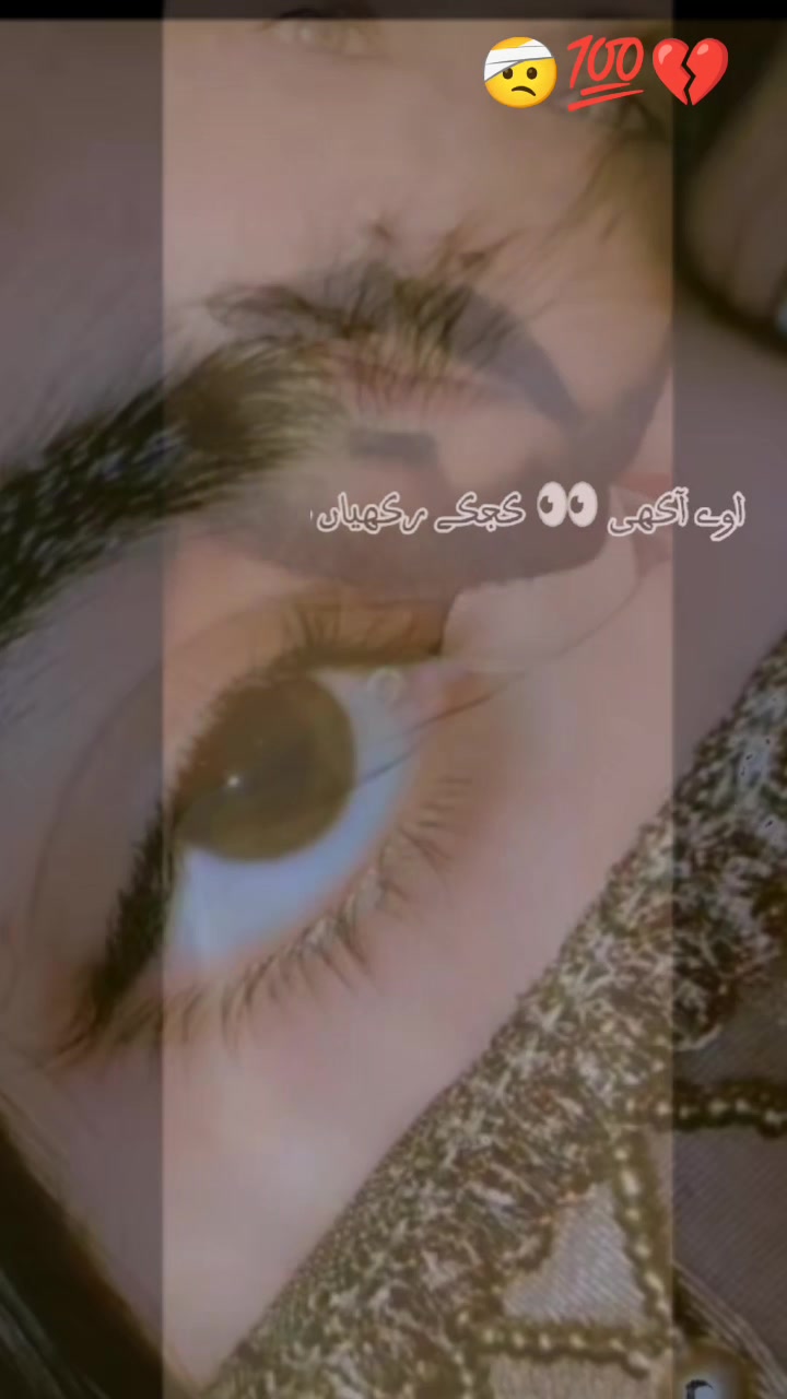 @┈━═☆❣️༱ꪖ𝔧𝕡ข𝑡𝙢ขɳȡꪖ❣️☆═━┈