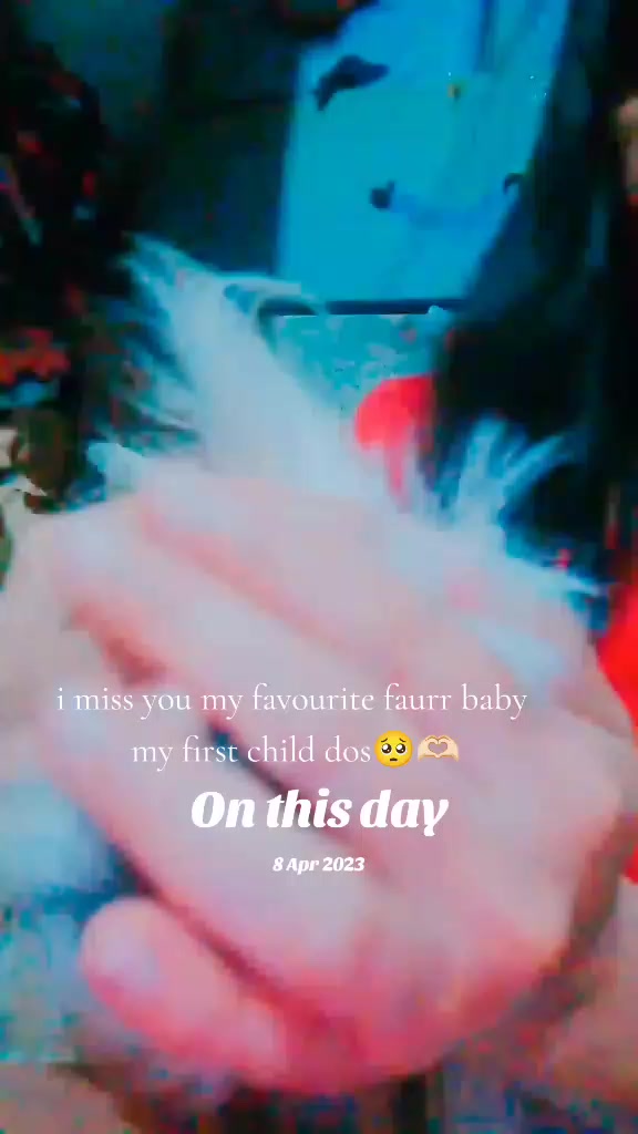 @laarnie_Love_bts_enhypen_bnd