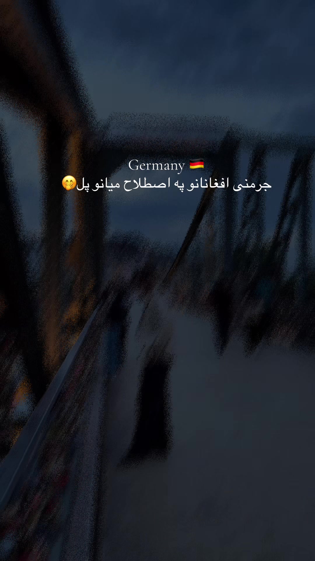 @Aryan khan 🍁🌫️