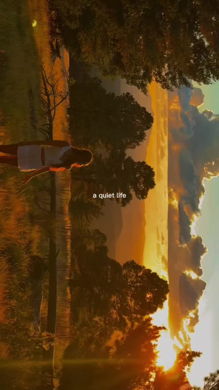 @TemPlate Trend