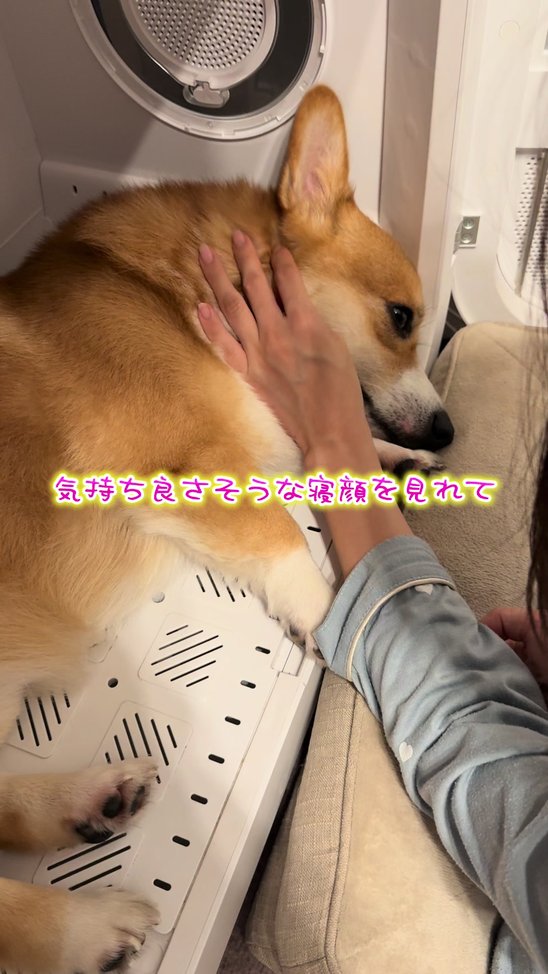 @トロン