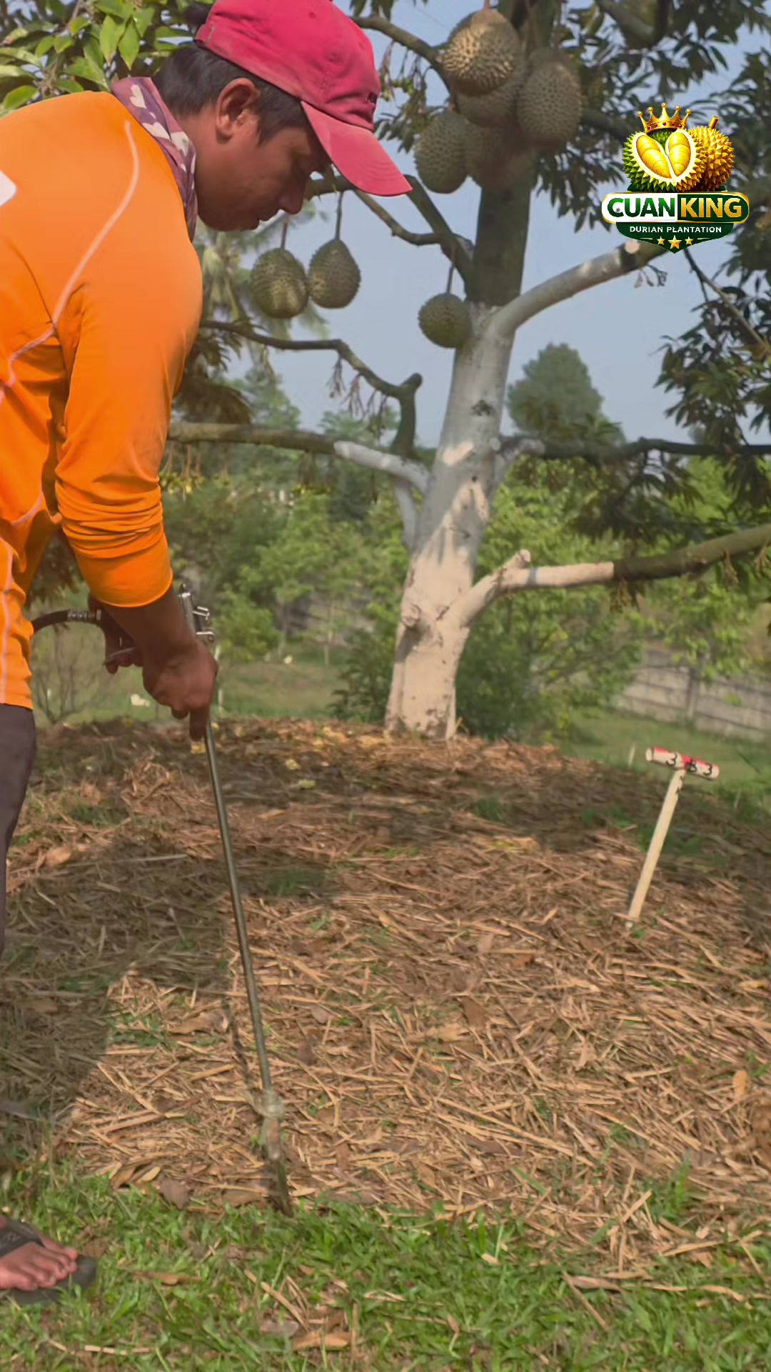 @WIN 22