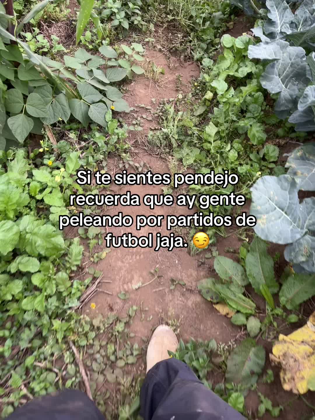@Henry 🫡🤠