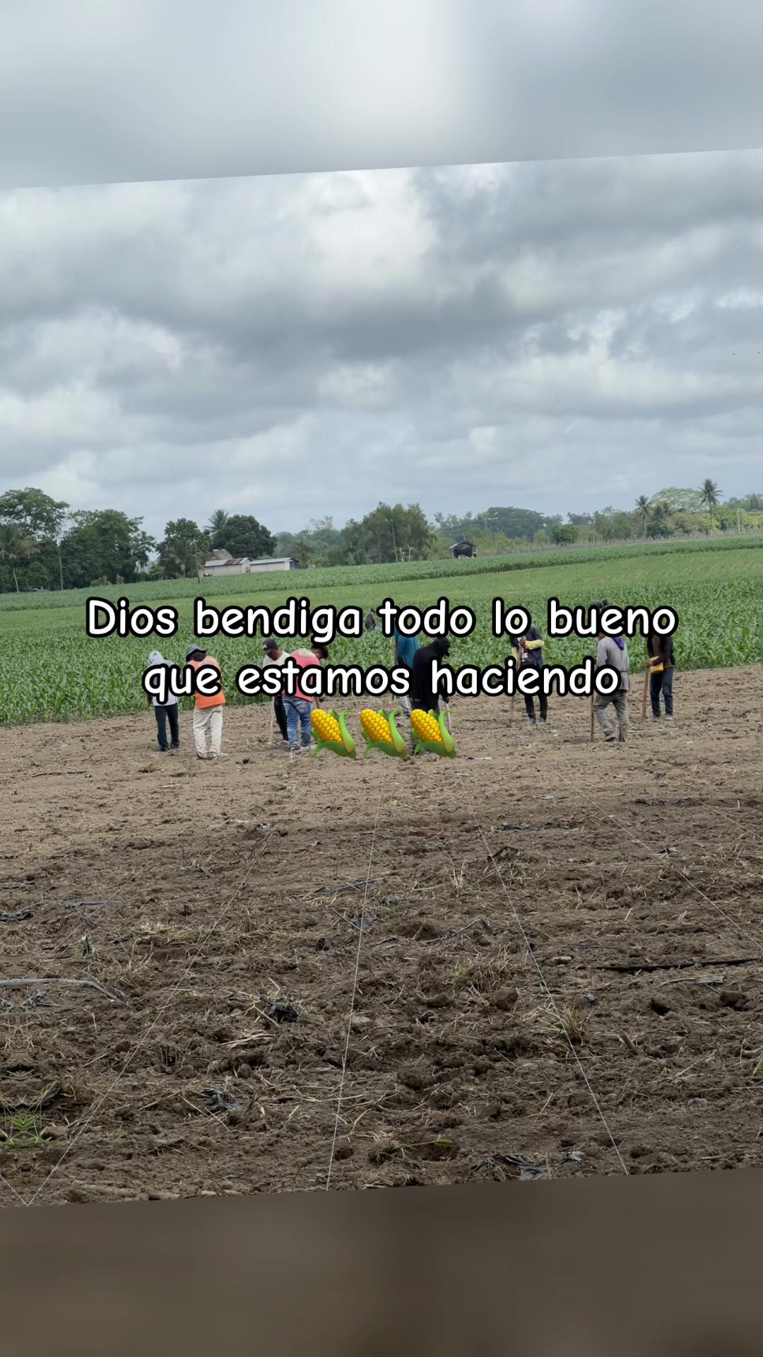 @darwin hernandez
