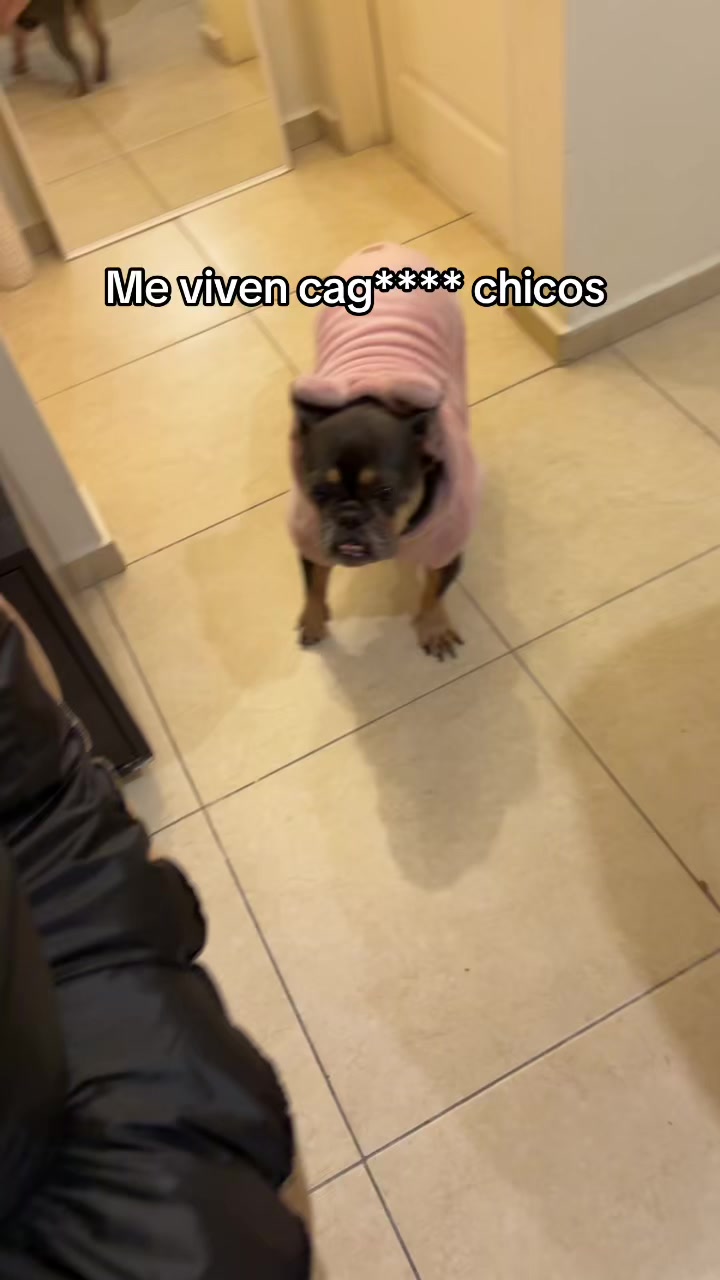 @SOFIA MANSILLA