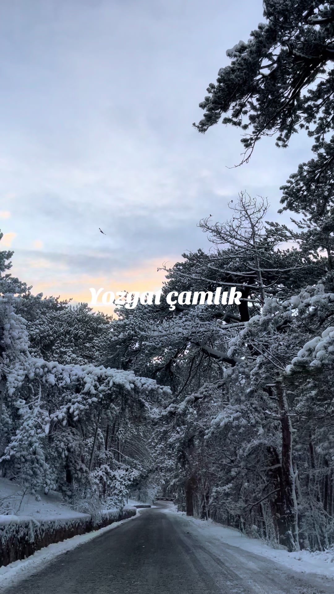 @Lokman Çetinkaya