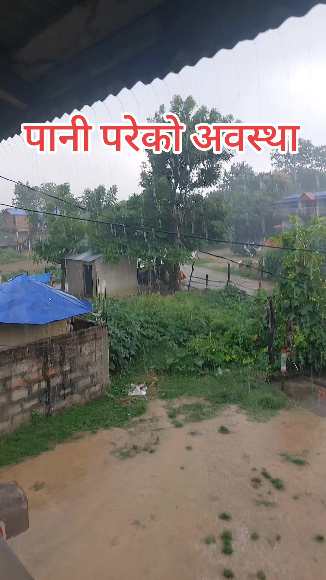 @Bibek subedi