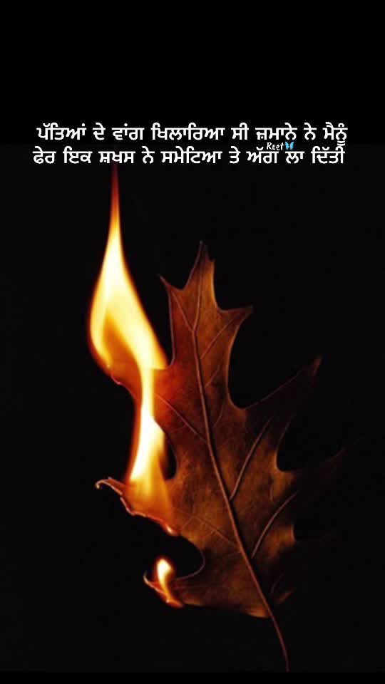 @Reet Kaur🦋🧚&zwj;♀️🪬