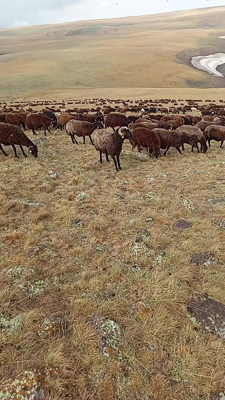 @🦅Koçero 🦅7676