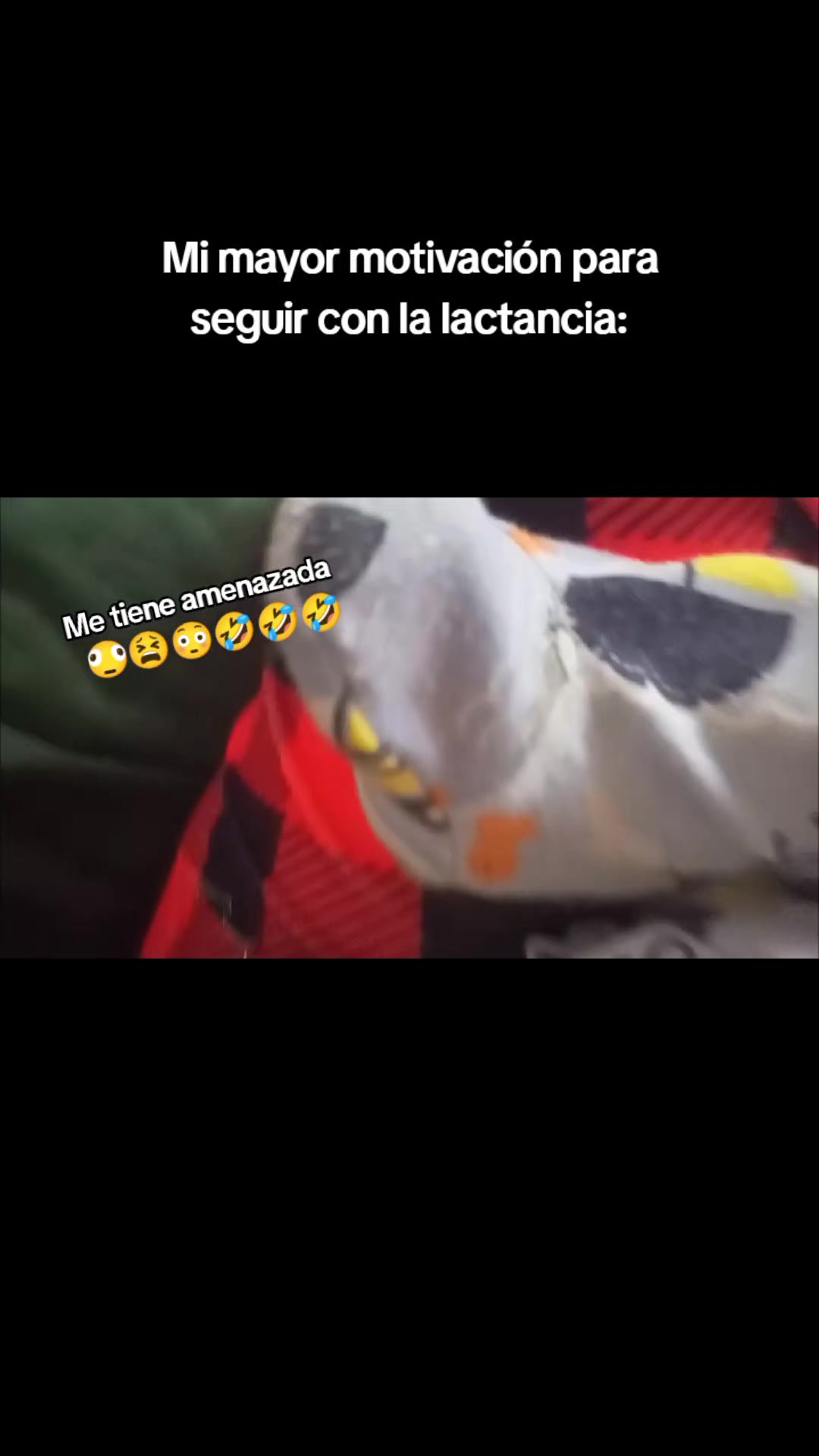 @valeaguiar13