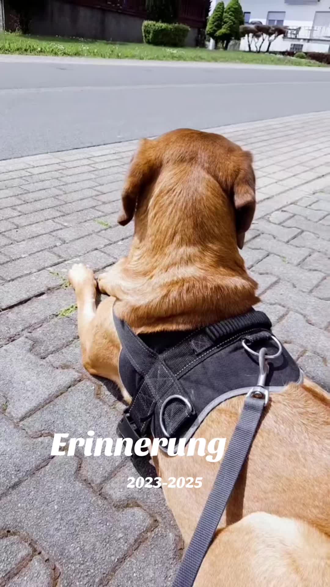 @Emma u.Biggi