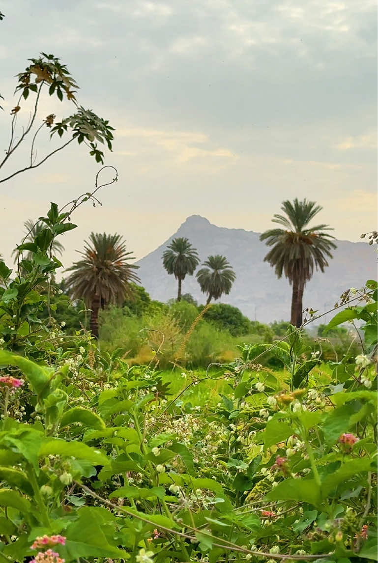 @رِجْم 📸