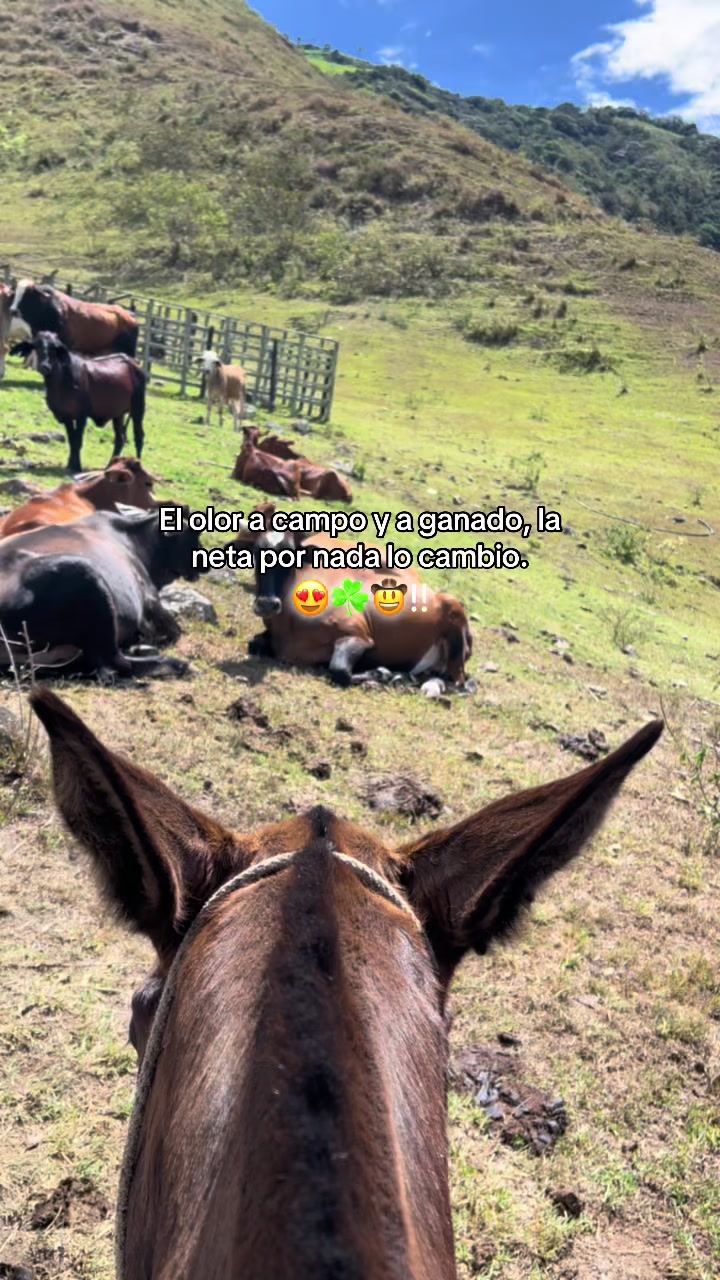 @彡[ʀᴏʟɪᴛᴀꜱ ツ࿐