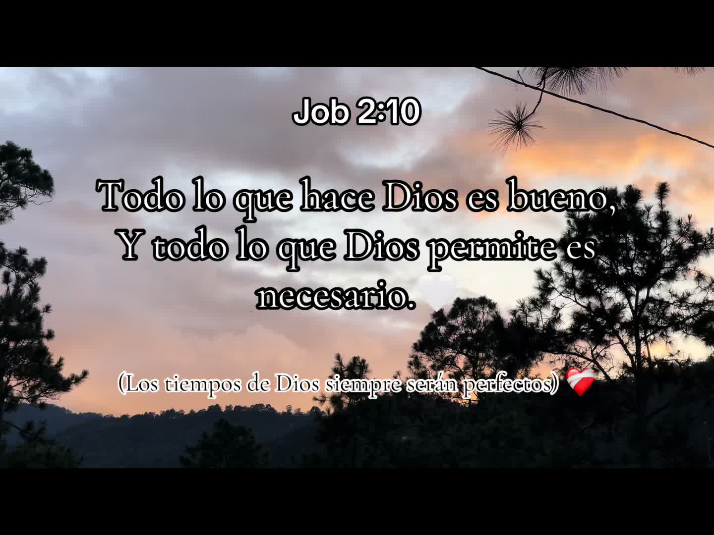 @Feryi Rubio