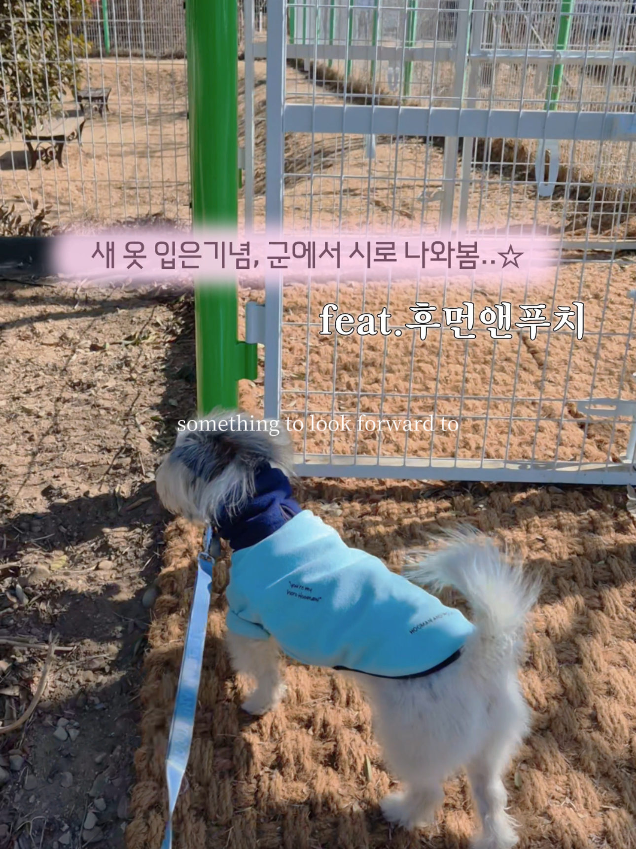 @춘가드